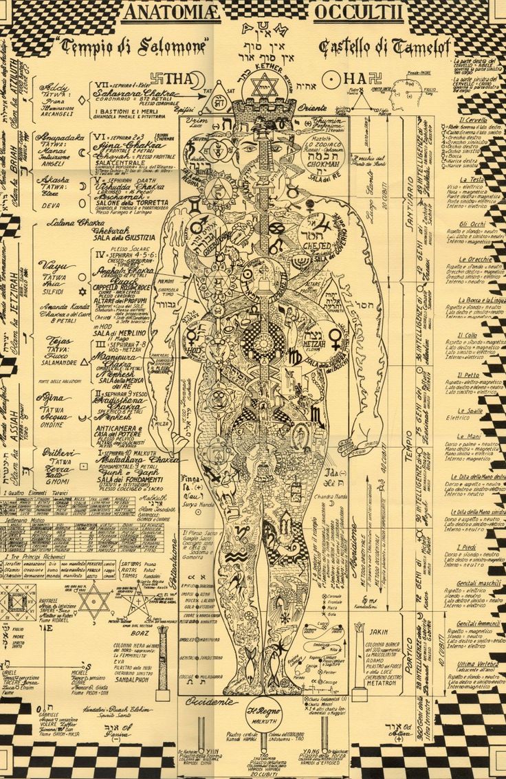 Plate from page 4
