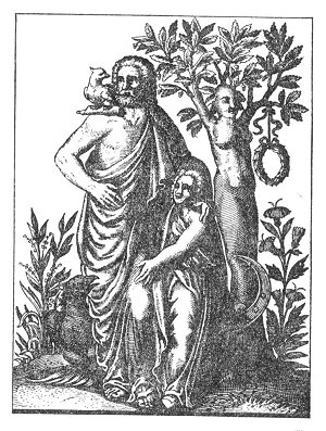Plate from page 168