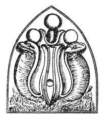 Plate from page 251