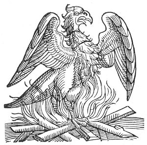 Plate from page 255