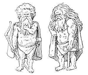 Plate from page 309