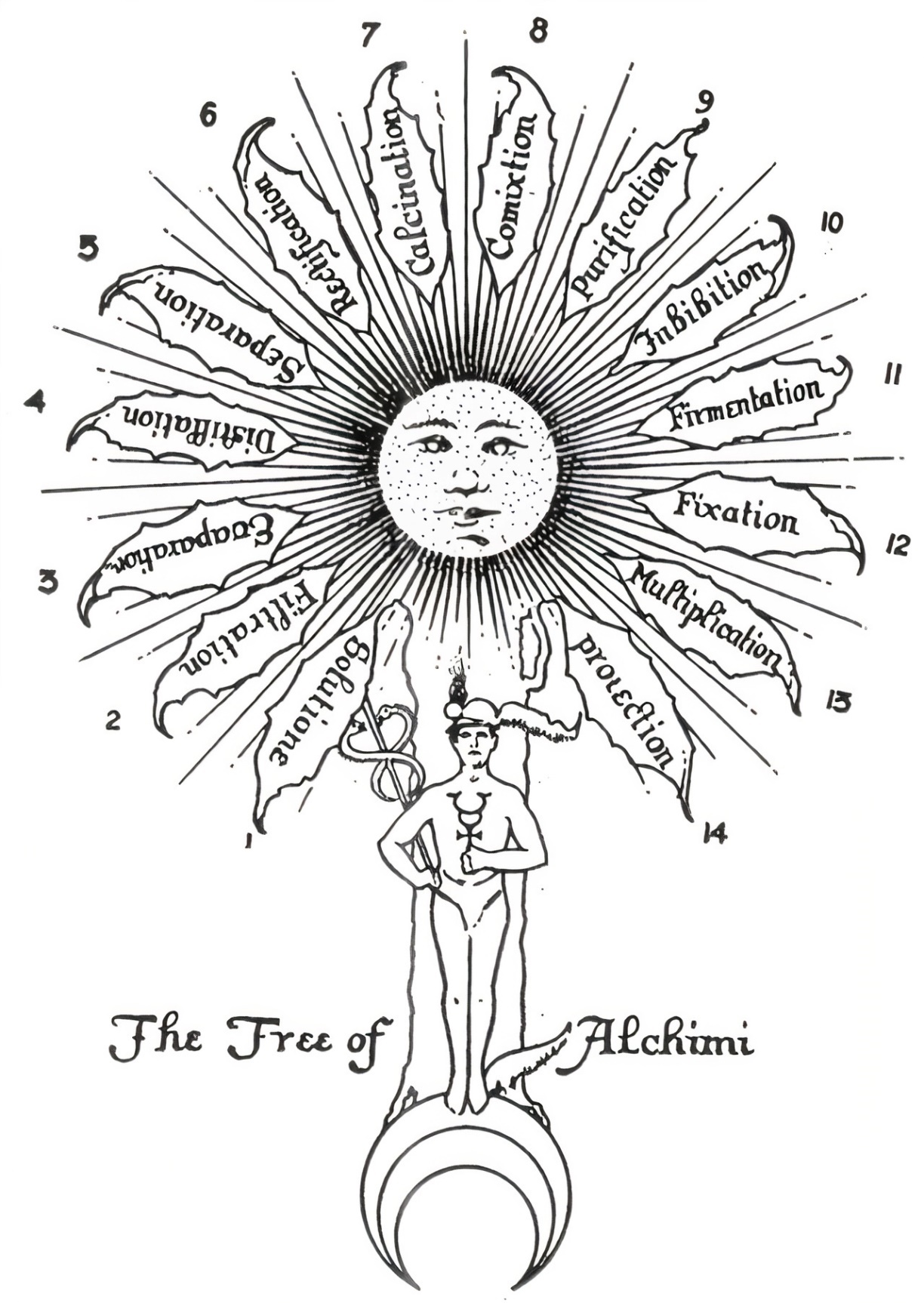 Plate from page 460
