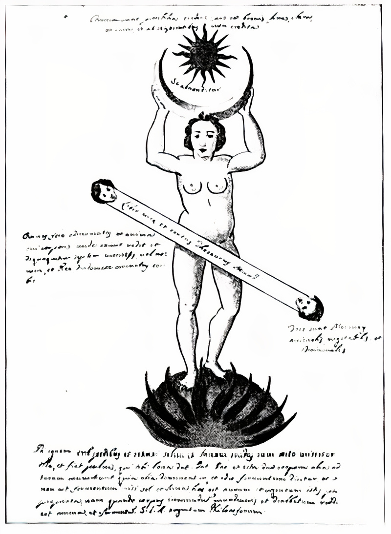 Plate from page 489