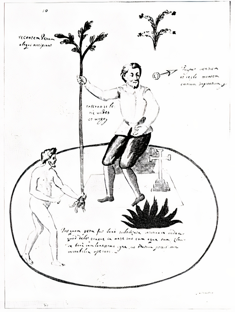 Plate from page 495