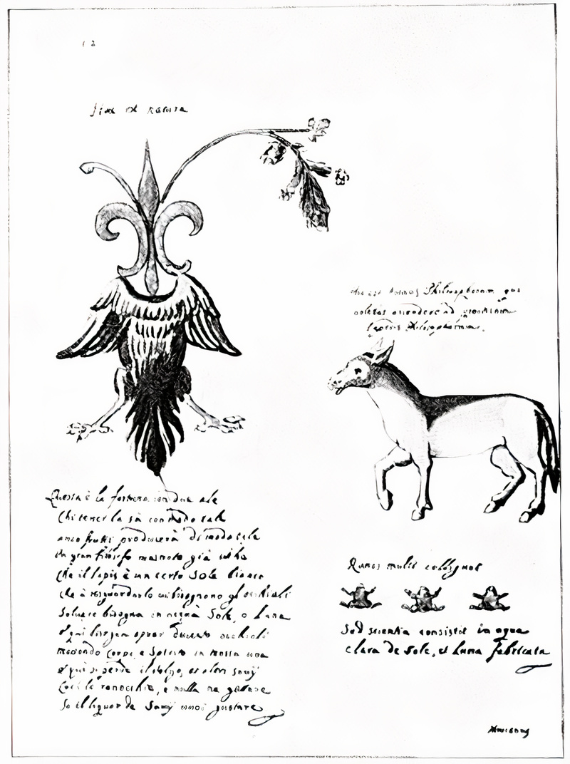 Plate from page 497