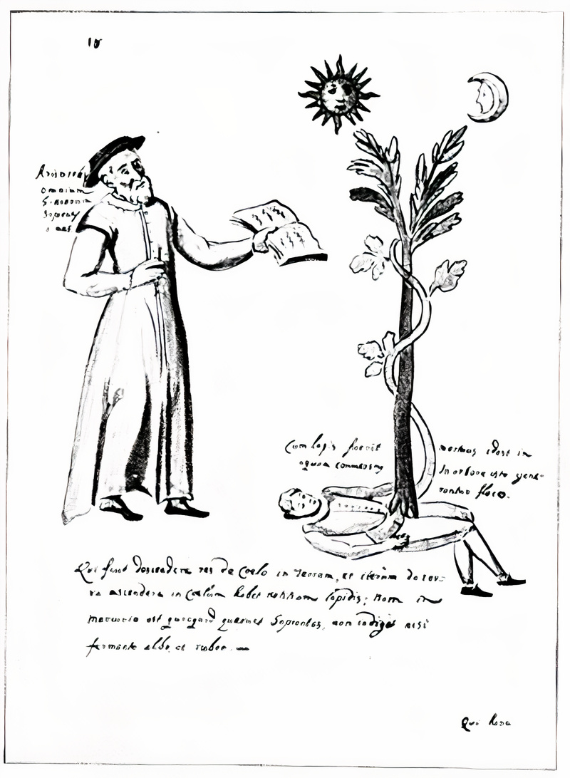 Plate from page 503