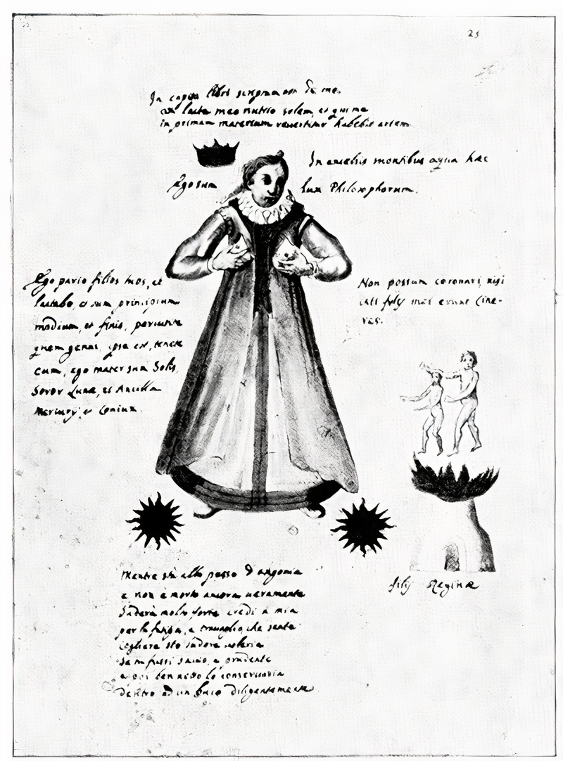 Plate from page 510